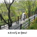 6월 29일(토) - 안산 : 오후 산책의 정석 이미지