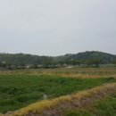 칠목농장 이미지