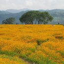 경희궁삼성정신건강의학과의원 이미지