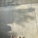 가마솥에누룽지 | 경남 밀양 계곡 평상대여식당 주차걱정없는 가마솥에누룽지에서 여름휴가 보낸 후기