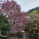 달빛공원(이동식-MTB장) | 하동 지리산둘레길 MTB 라이딩 | 칠보정사,최참판댁, 평사리 부부소나무,하동공원