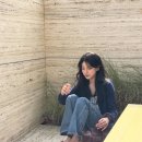 풀소유