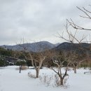 명아원 | 담양숙소추천/담양펜션/통나무집/명아원