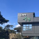 카페송림 | [경남] 밀양 대형카페 밀양 카페 송림 방문후기