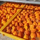 감나무골농장 이미지