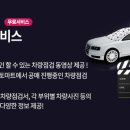 디카포유
