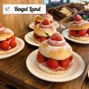 서교초교 | 홍대 핫플 브런치 맛집 | 베이글랜드 샌드위치 · 베이글 내돈내산 후기