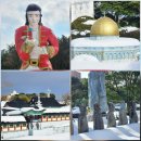 센트럴파크 | 제주도 조천읍 가볼만한곳 제주 센트럴파크 솔직 후기