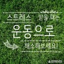 핫점핑 네이버블로그