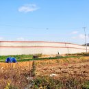 금마운수 이미지