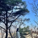 레드페이스인천