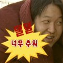 여나투어