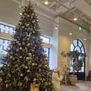 첨단중앙로L 이미지