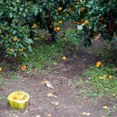 해종농장 이미지