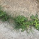 [6월 셋째 주 장원] 틈/김선영 이미지