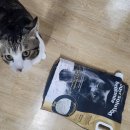 엘지유니참(주) | 고양이 모래 LG유니참펫 더스트솔루션 벤토나이트