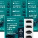 경보 골드 네이버블로그