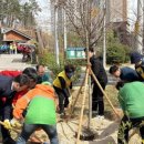 가호동28 이미지