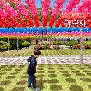 천안 광덕사 광덕산 등산코스 맛집까지 부모님 아이와 가볼만한 사찰