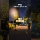 반포한강공원. 패티김-가을을 남기고 간 사랑. 이미지