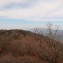 새신처럼 이미지