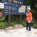 송포항 이미지