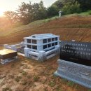 중앙장의사 이미지