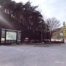 강승월기사식당 이미지