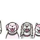 성신동물병원 이미지