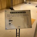 여수 애견 동반 숙소 추천! 전 객실 오션뷰 그리다 리조트