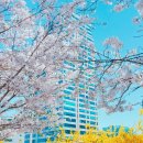 (주)대성씨앤씨 이미지