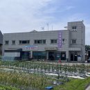 위전1리 이미지