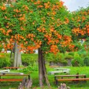 충북도립대학교 이미지