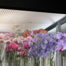 효령밧데리 이미지