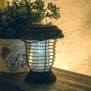 오브제-꽃과빛 이미지