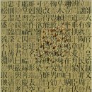 폴리크롬 이미지