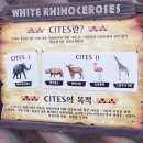 스페셜투어 이미지
