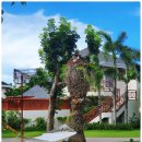 제이보드 이미지