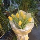 영플라워 이미지