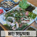 옐로우시티 | 용인 한숲시티 맛집 깻잎막회 본점 | 고소한 막회 가족외식 후기