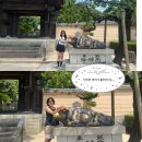 메데스 | [후쿠오카] 우당탕탕 엄마랑 단 둘이 떠난 또쿠오카