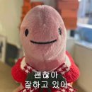 크로스핏 지구 이미지