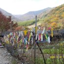 표충사 2 이미지