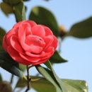 문화초교 이미지