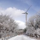 제187차 정기산행 태기산(평창/횡성) 공지 이미지