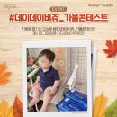 데이데이 이미지