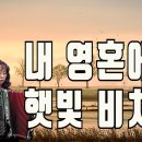 내 영혼에 햇빛 비치니ㅡ41번째 이미지