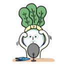 BOB 애견용품 아울렛 이미지