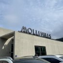 몰리힐스(MOLLI HILLS) 이미지