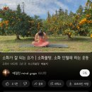 수원-0616 | 일상 0610-0616